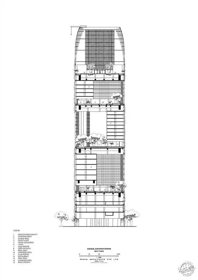 新加坡的生态建筑专业户，又建了一个长满绿植的酒店第9张图片