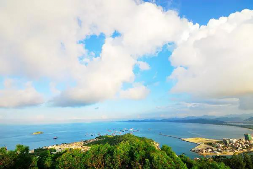 带你寻遍海洋美景，鑫月广场的这片“海”美得震撼人心